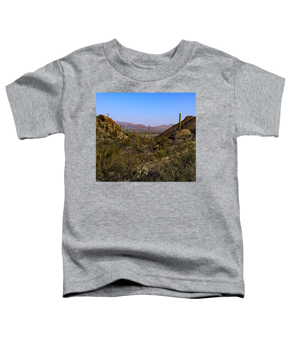 Gate’s Pass Toddler T-Shirt featuring the photograph Picture Rocks 24 by Mark Myhaver