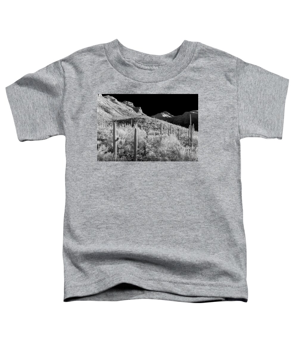 Bear Canyon Toddler T-Shirt featuring the photograph Pilgrimage by Scott Rackers
