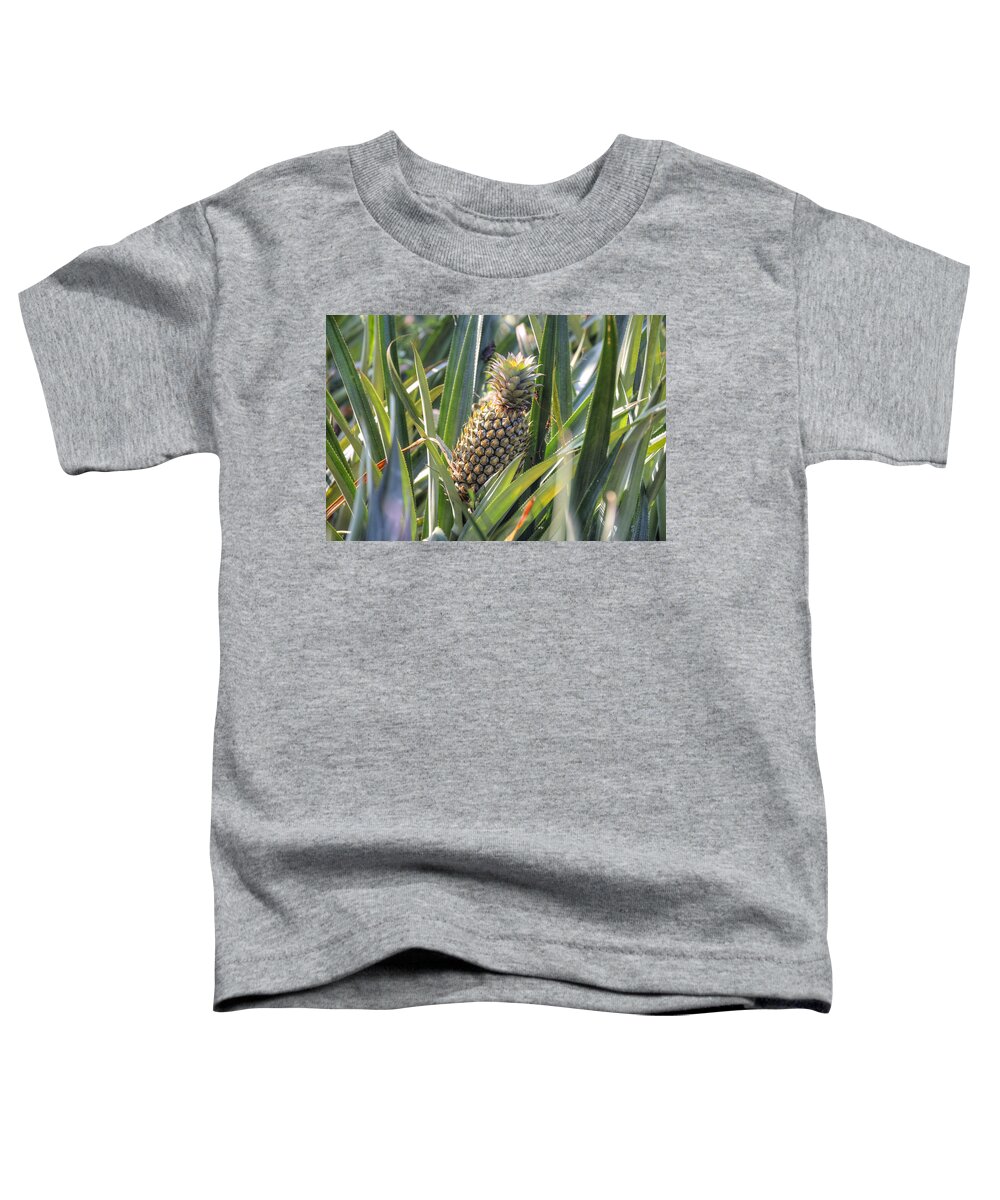 Pineapple Toddler T-Shirt featuring the photograph pineapple plantation in Kerala - India by Joana Kruse