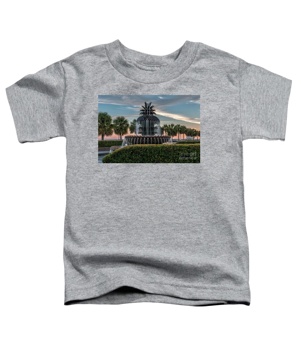 Pineapple Fountain Toddler T-Shirt featuring the photograph Pineapple Suprise by Dale Powell