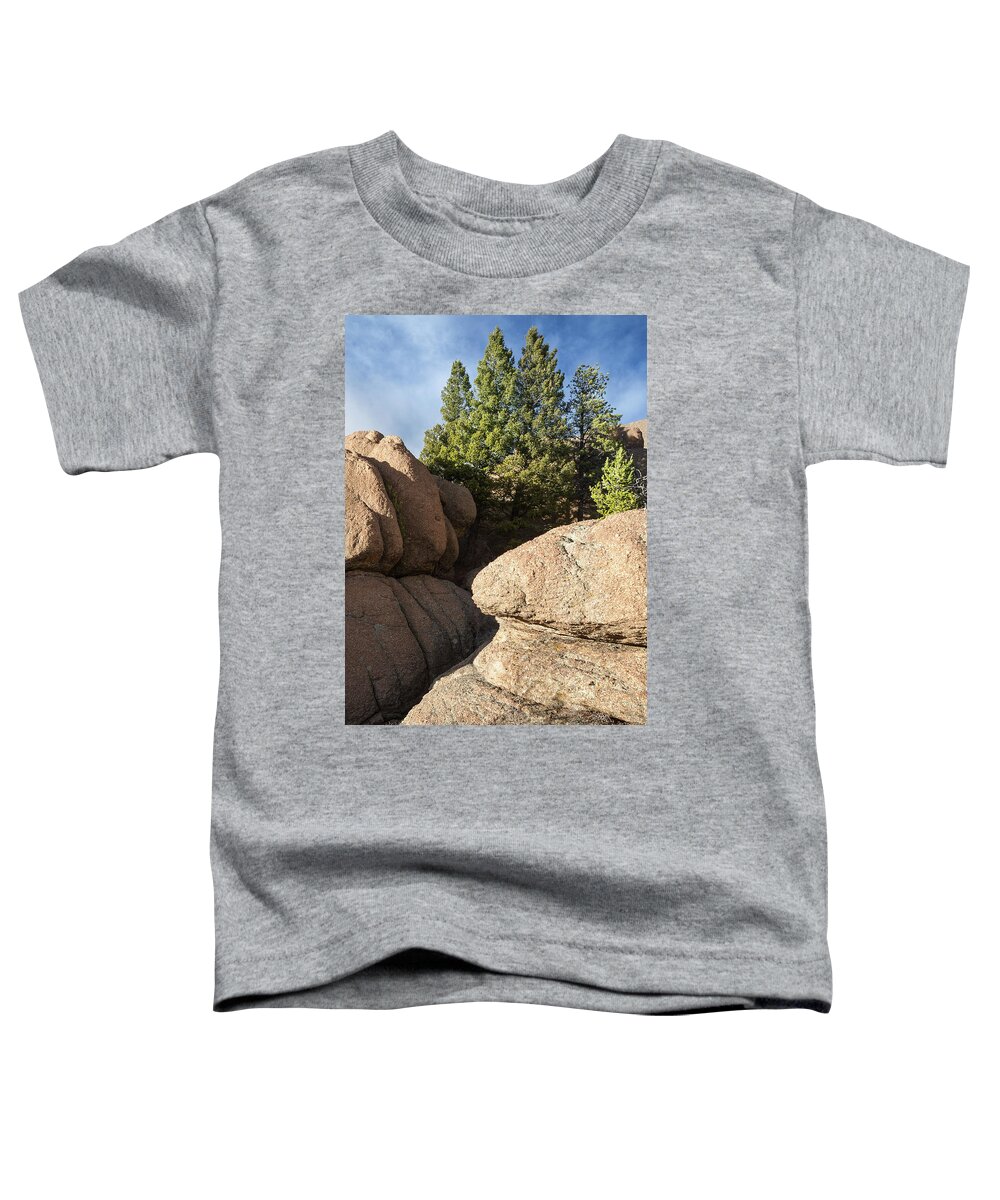 Pine Toddler T-Shirt featuring the photograph Pines in Granite by Tim Newton