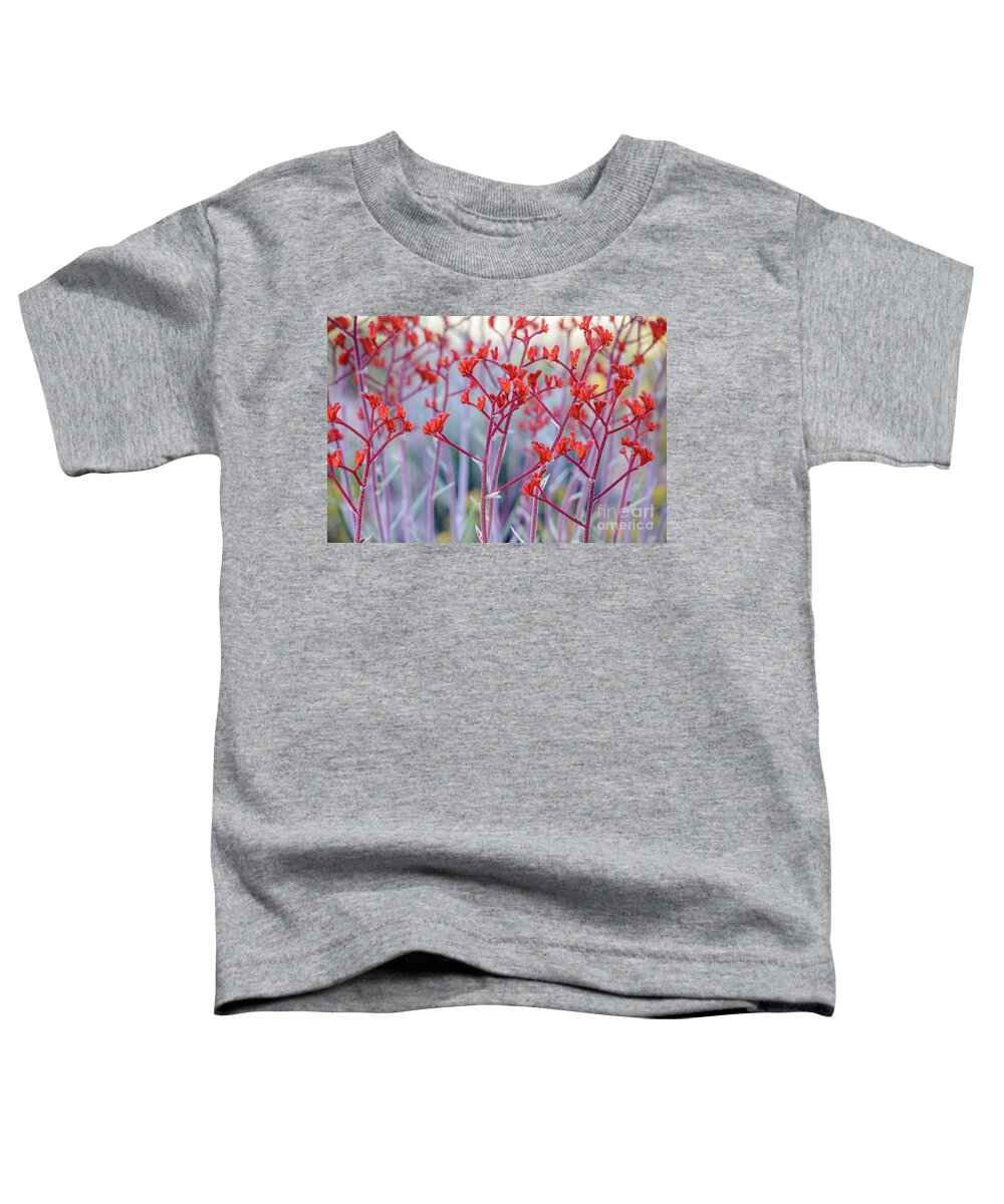 Flower Toddler T-Shirt featuring the photograph Red Kangaroo Paw by Werner Padarin