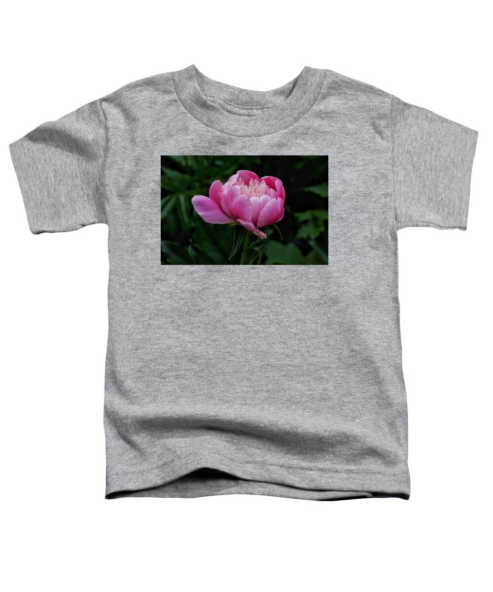 Peony Toddler T-Shirt featuring the photograph Pink Peony by Chris Berrier