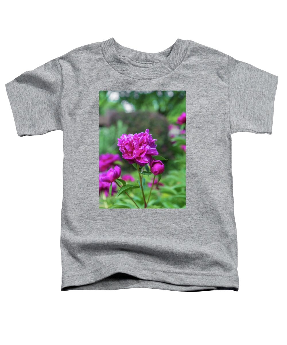 Peony Toddler T-Shirt featuring the photograph Pink Peony by Pamela Williams