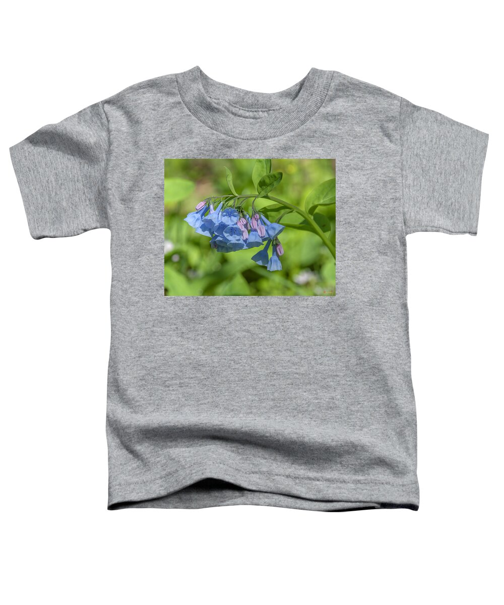 Nature Toddler T-Shirt featuring the photograph Pink Virginia Bluebells or Virginia Cowslip DSPF0334 by Gerry Gantt