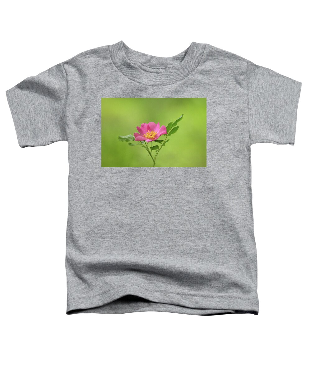 Rose Toddler T-Shirt featuring the photograph Pink Wild Rose by Debbie Oppermann