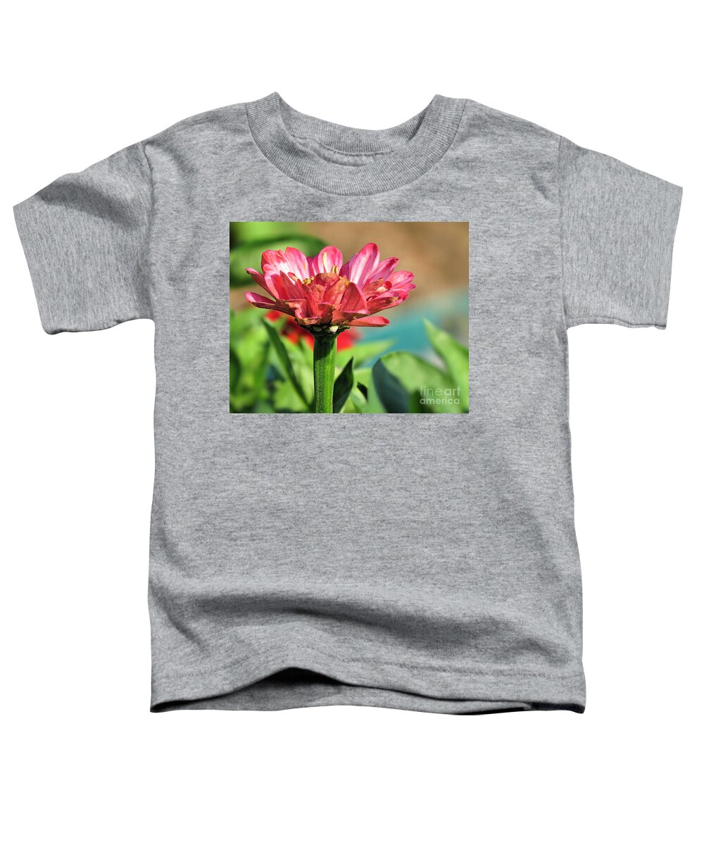 Pink Zinnia Toddler T-Shirt featuring the photograph Pinkish by Janice Drew