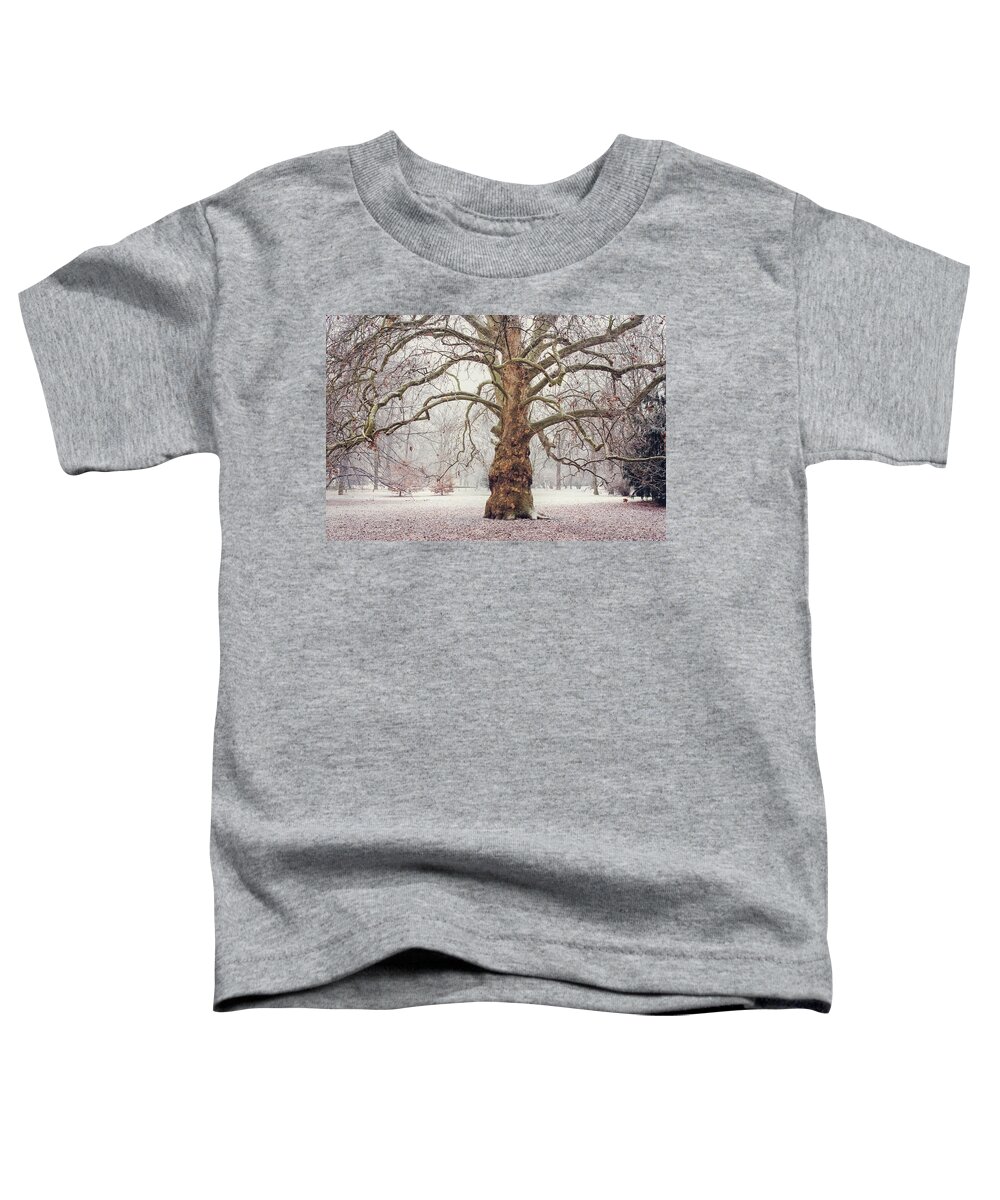 Jenny Rainbow Fine Art Photography Toddler T-Shirt featuring the photograph Platan Tree in Early Winter by Jenny Rainbow