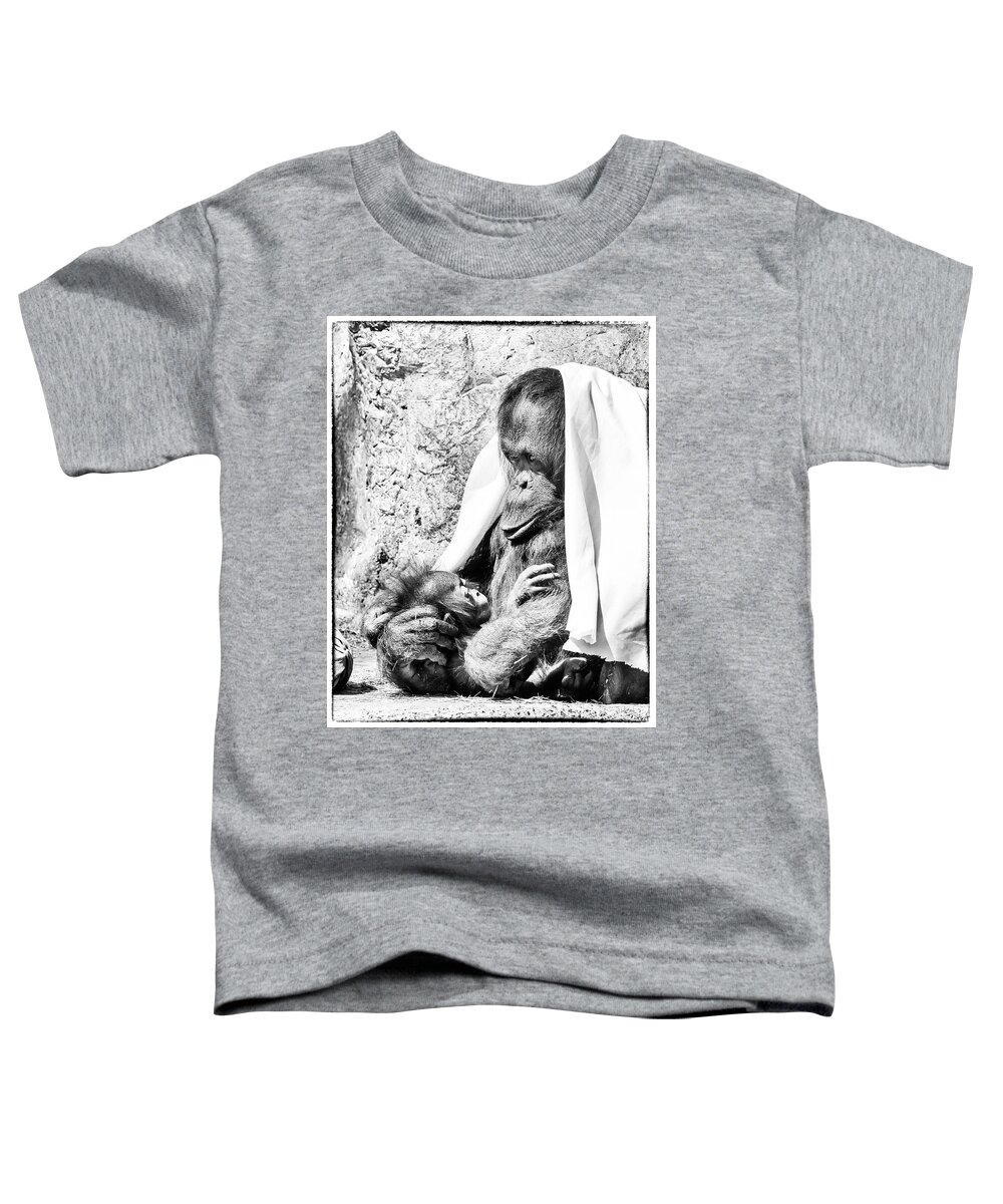 Crystal Yingling Toddler T-Shirt featuring the photograph Playtime by Ghostwinds Photography