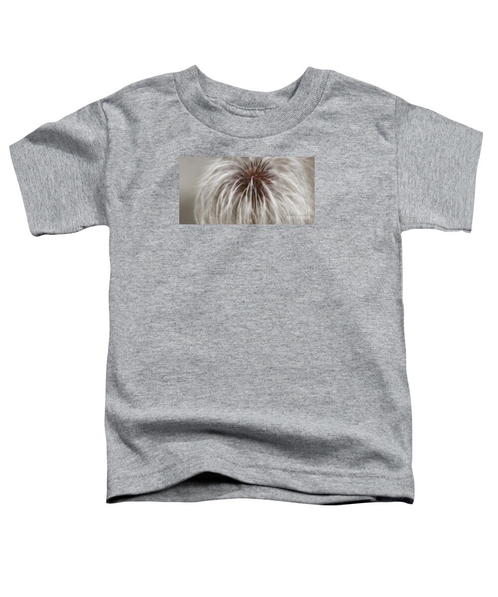 Plume Toddler T-Shirt featuring the photograph Plumosa by Linda Shafer