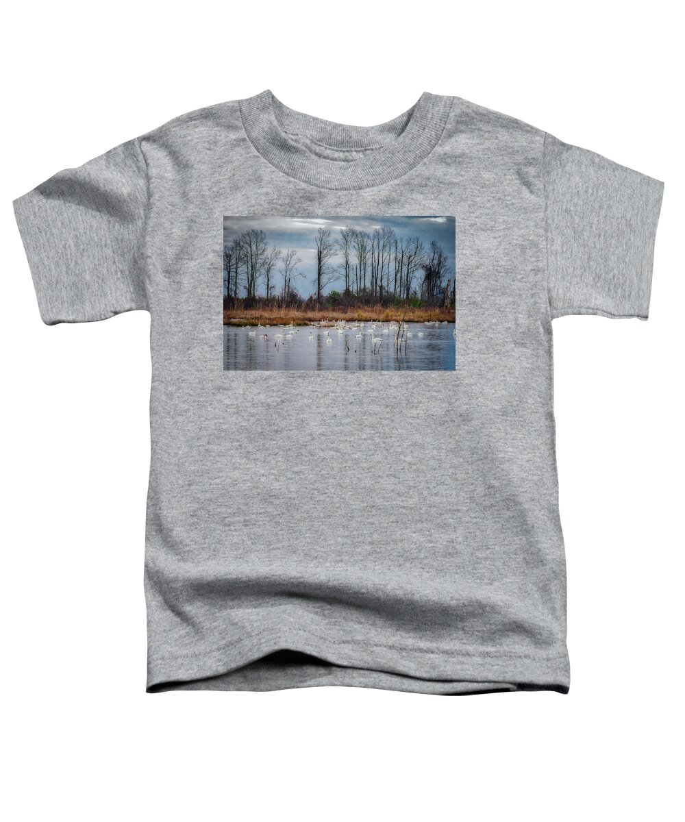 Nature Toddler T-Shirt featuring the photograph Pocosin Lakes NWR by Donald Brown