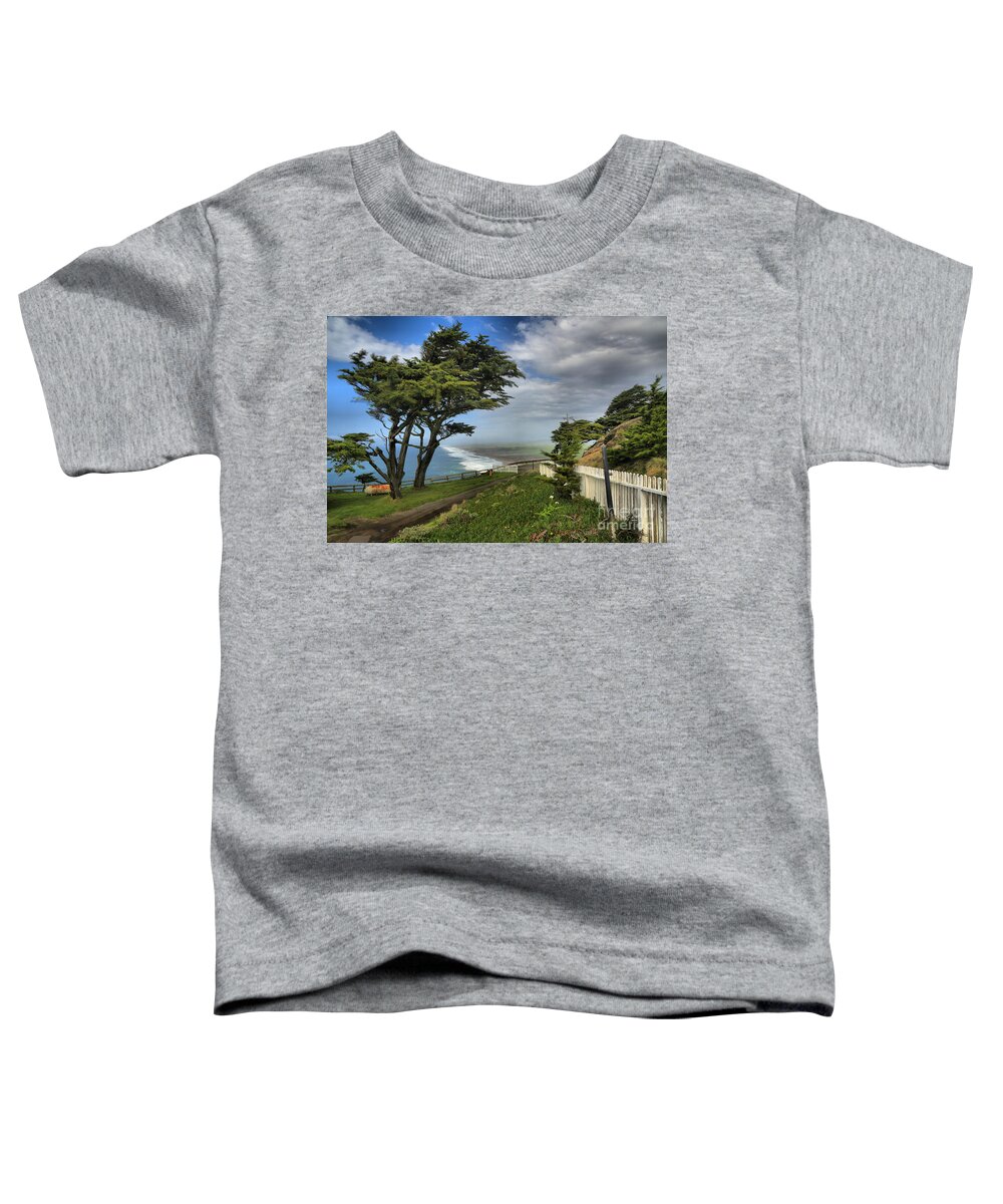 Point Reyes Toddler T-Shirt featuring the photograph Point Reyes Windblown Cypress by Adam Jewell
