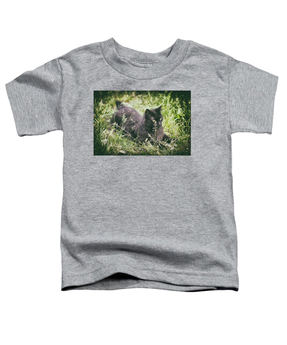 Cat Toddler T-Shirt featuring the photograph Prairie Cat by Scott Wyatt