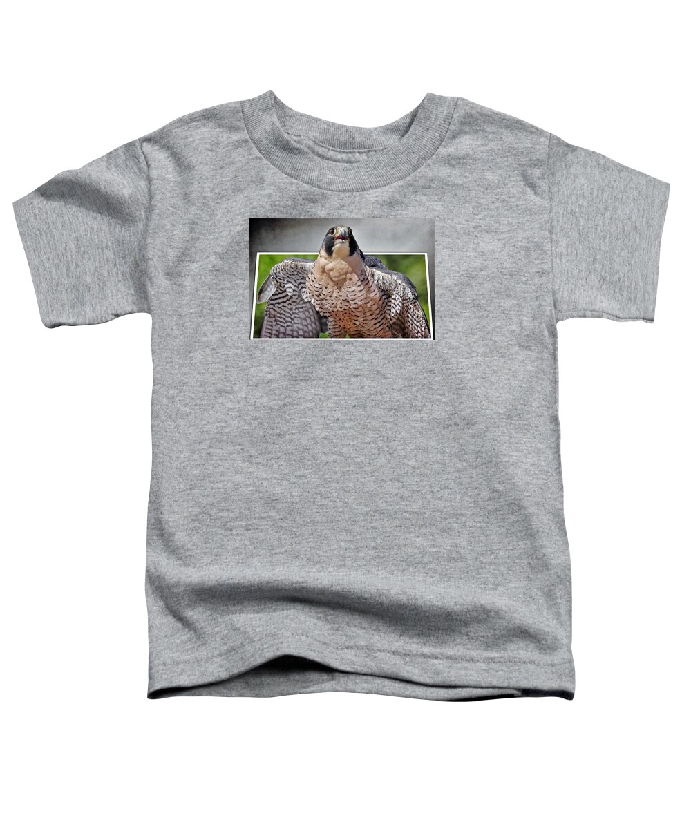 Falcons Toddler T-Shirt featuring the photograph Prairie Falcon by Elaine Malott