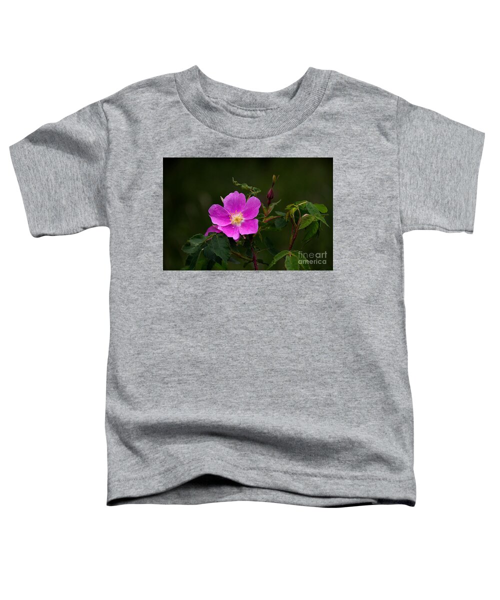 Rose Toddler T-Shirt featuring the photograph Prickly Wild Rose - Rosa Acicularis by Lorenzo Cassina
