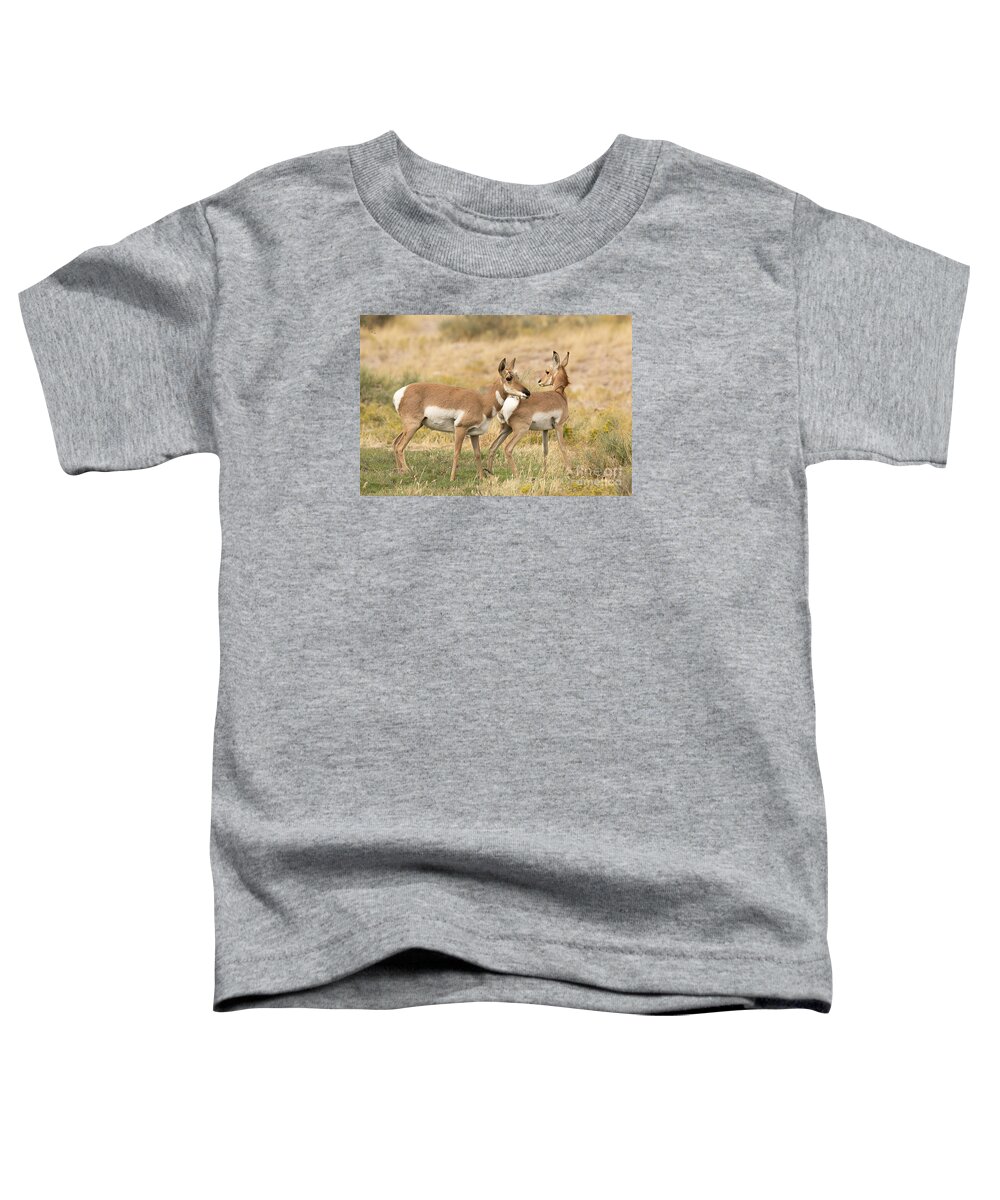 Mammal Toddler T-Shirt featuring the photograph Pronghorns in the West Desert by Dennis Hammer