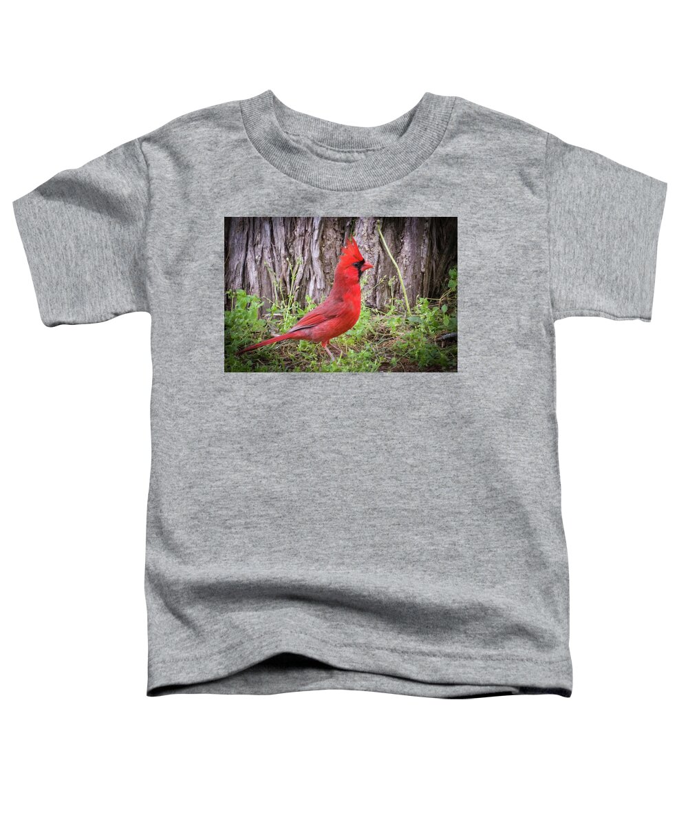 May Toddler T-Shirt featuring the photograph Proud Cardinal by John Benedict