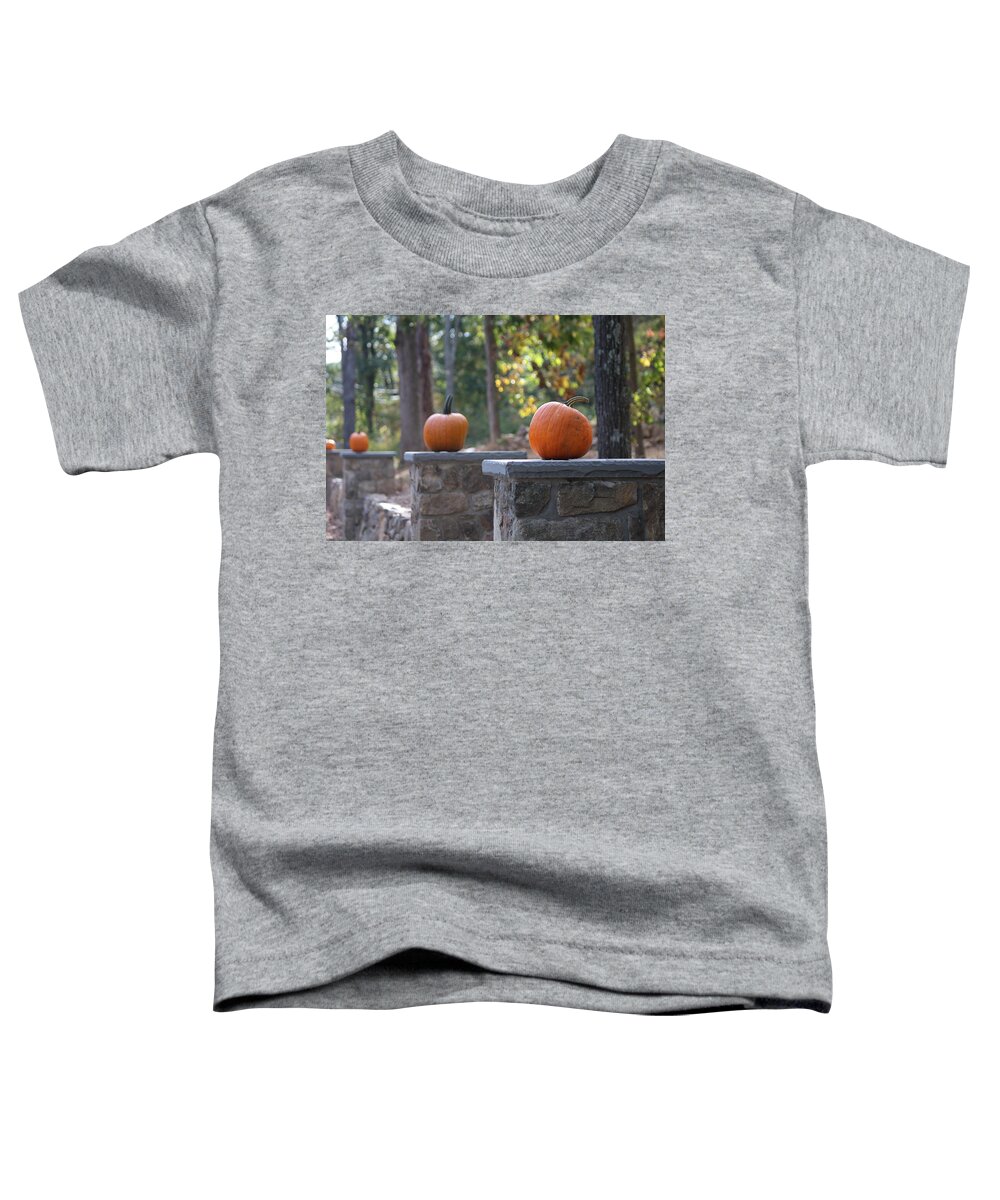 Autumn Toddler T-Shirt featuring the photograph Pumpkin Stone Wall by Living Color Photography Lorraine Lynch