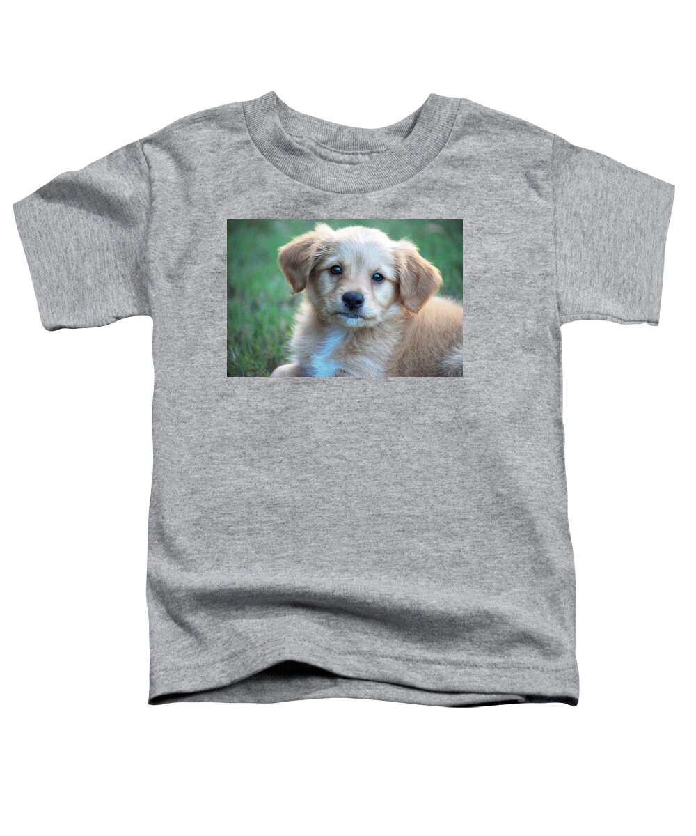 Puppy Toddler T-Shirt featuring the photograph Puppy Love by Mary Ann Artz