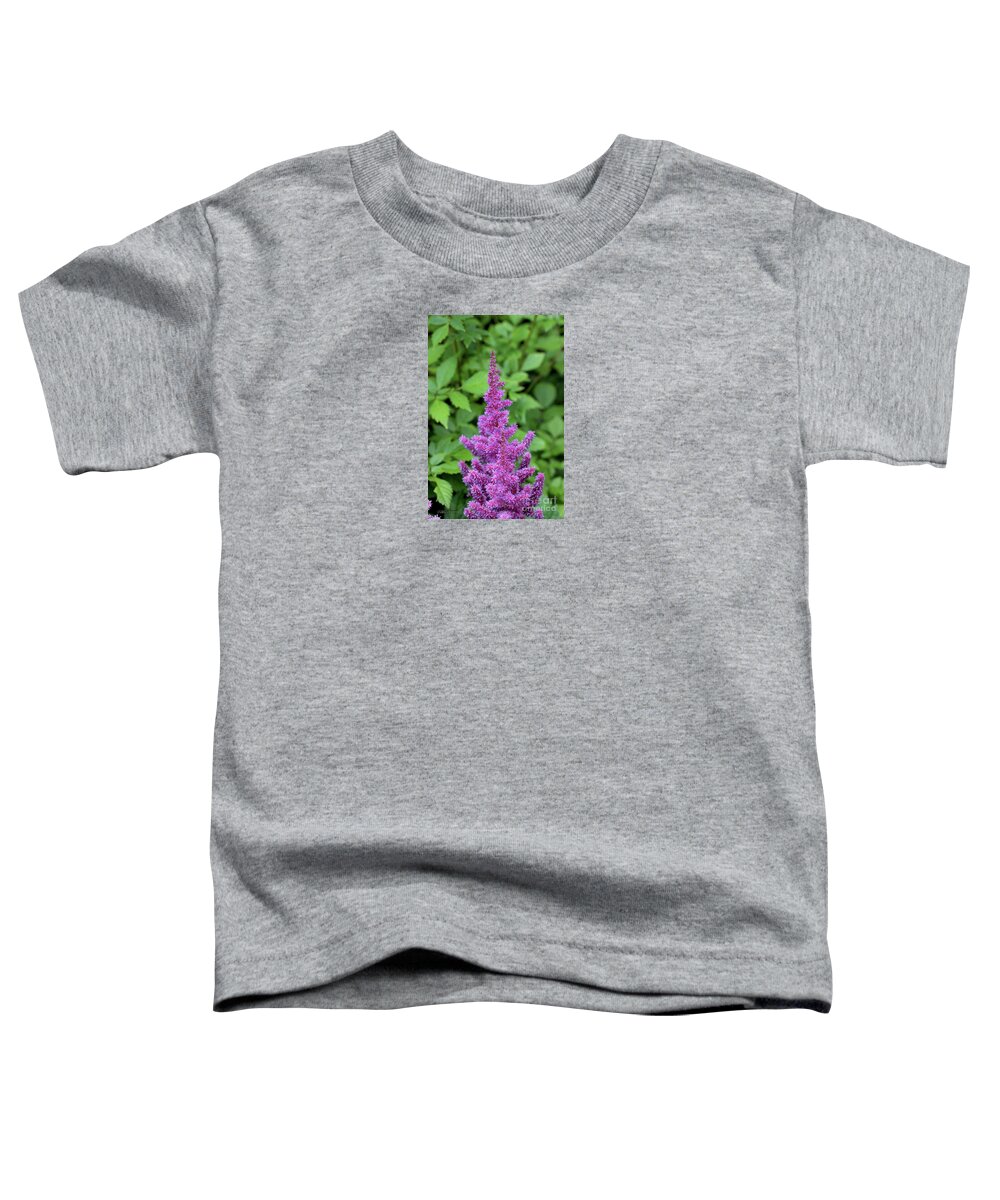 Flower Toddler T-Shirt featuring the painting Purple Astilbe Flower by Corey Ford