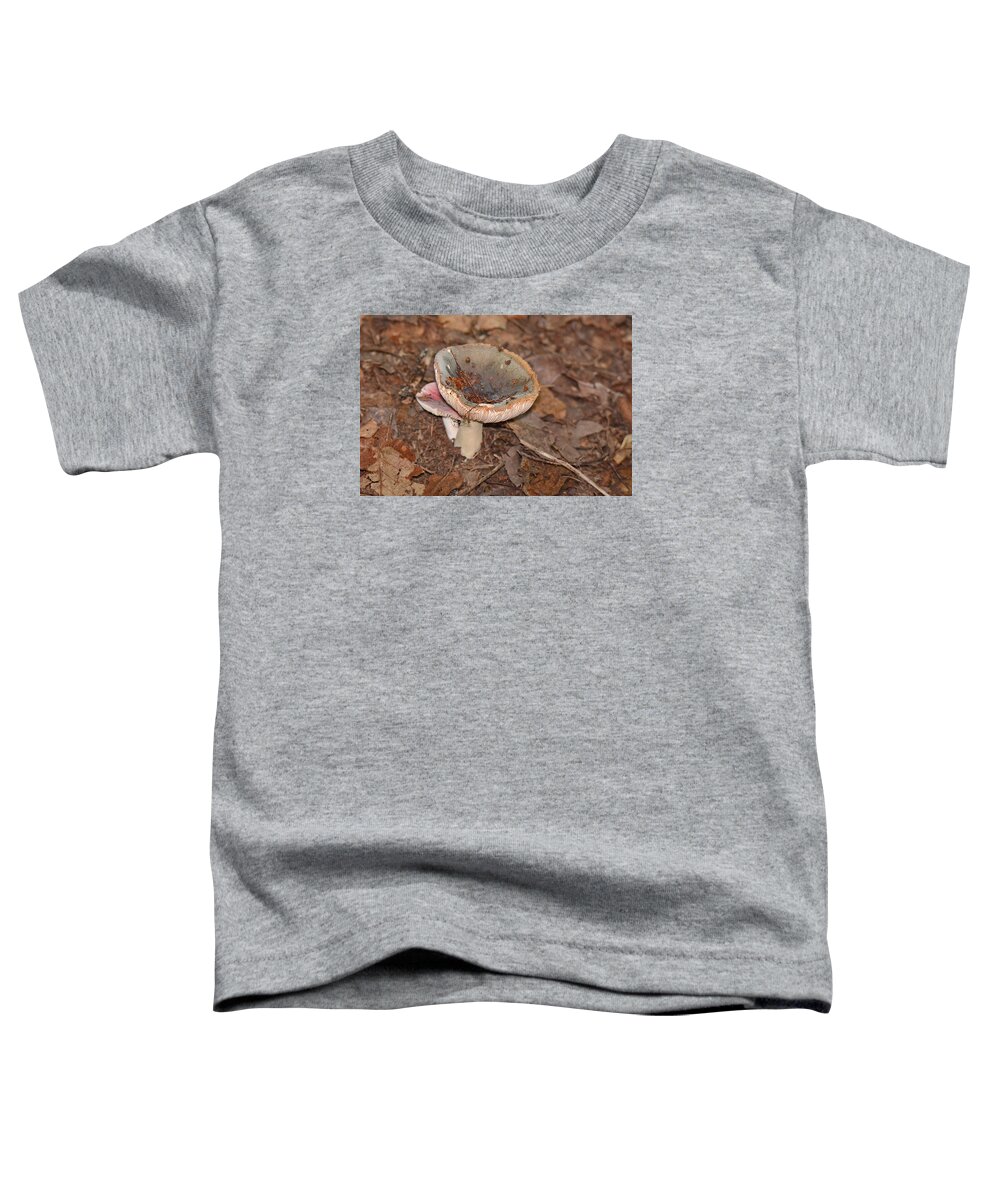 Fungi Toddler T-Shirt featuring the photograph Purple-bloom Russula by Alan Lenk