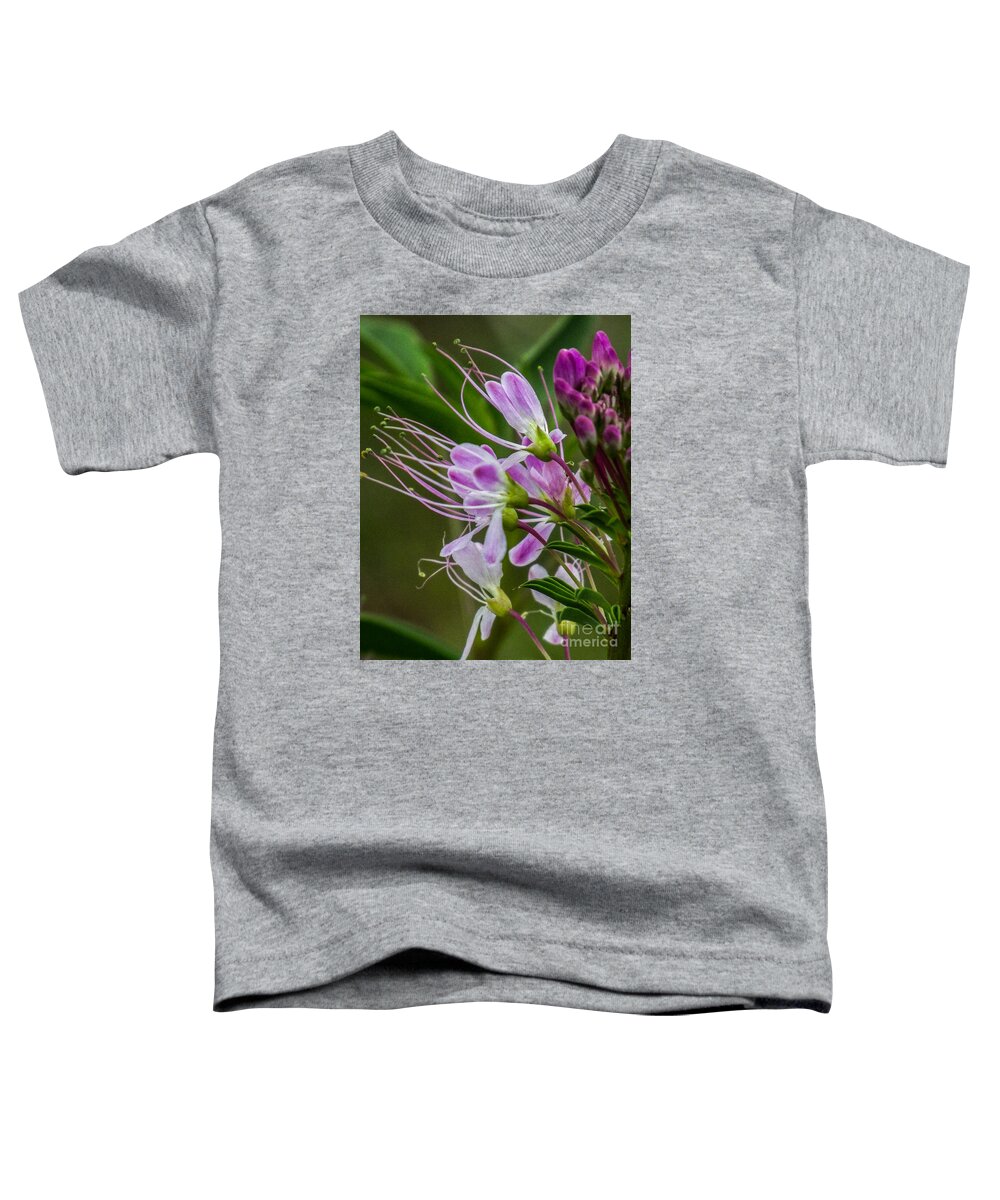 Nature Toddler T-Shirt featuring the photograph Purple Flower 6 by Christy Garavetto