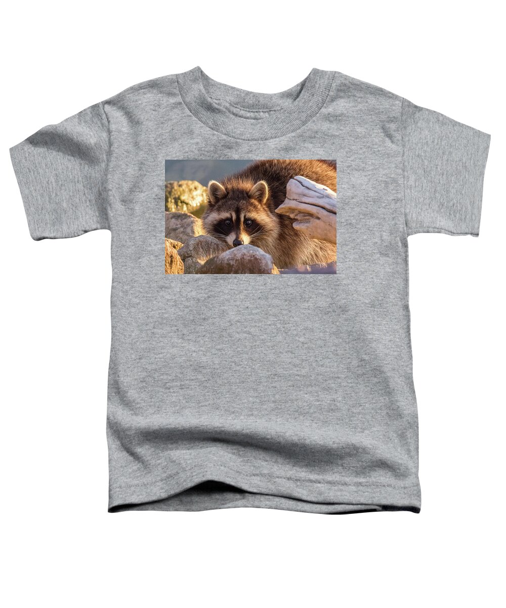 Raccoon Toddler T-Shirt featuring the photograph Raccoon Keeps Close Watch by Tony Hake
