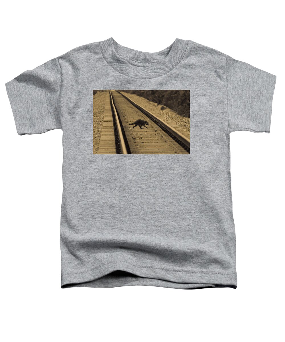 Raccoon Toddler T-Shirt featuring the photograph Railroad Bandit by DigiArt Diaries by Vicky B Fuller