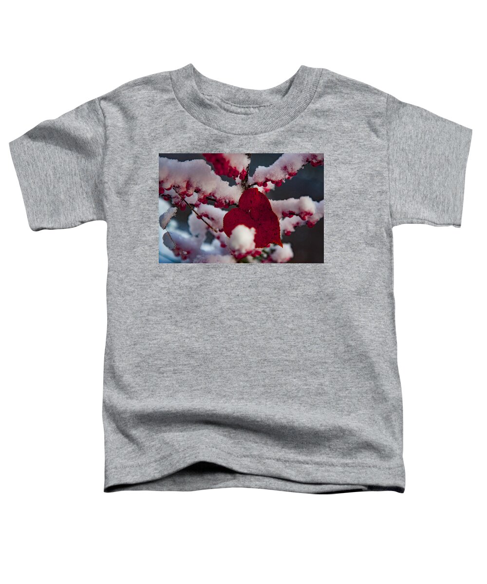 Salem Toddler T-Shirt featuring the photograph Red fall leaf on snowy red berries by Jeff Folger