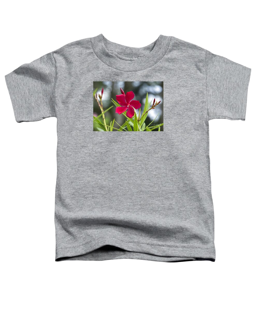 Flowering Plant Toddler T-Shirt featuring the photograph Red Hibiscus, Sri Lanka by Ivan Batinic