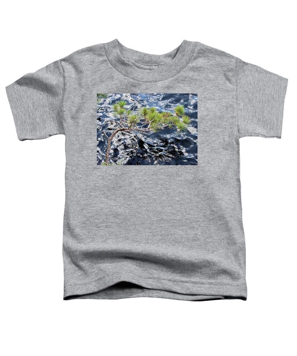  Pinus Resinosa Toddler T-Shirt featuring the photograph Red Pine by David Pickett