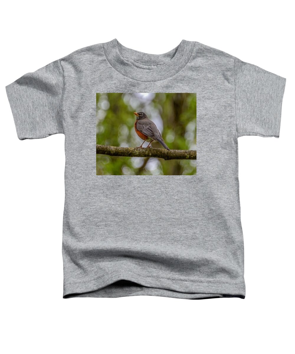 Robin Toddler T-Shirt featuring the photograph Red robin by Jerry Cahill