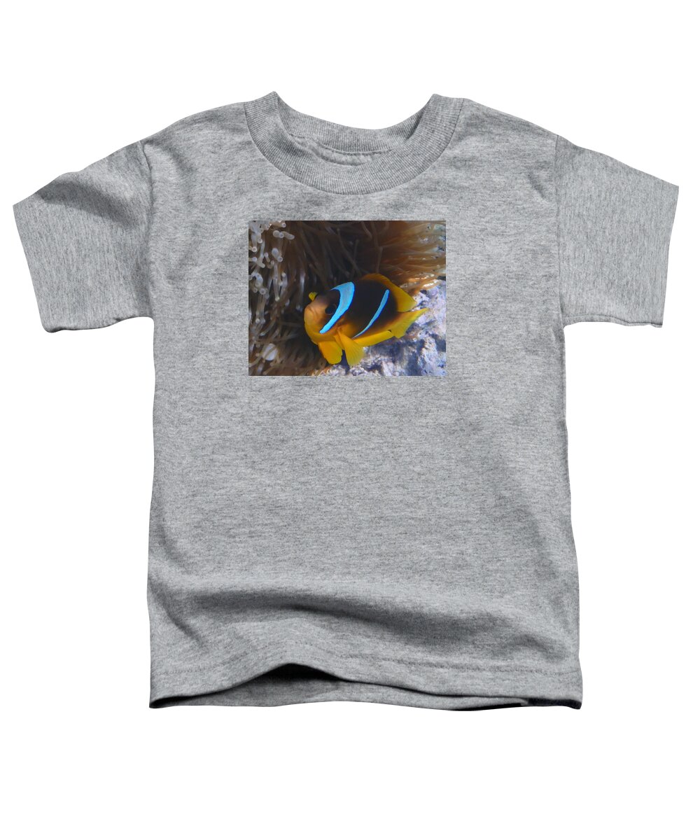 Ocean Toddler T-Shirt featuring the photograph Red Sea Twoband Anemonefish 2 by Johanna Hurmerinta