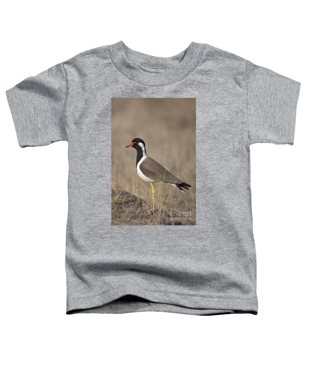 Red-wattled Lapwing Toddler T-Shirt featuring the photograph Red-wattled Lapwing by Bernd Rohrschneider/FLPA