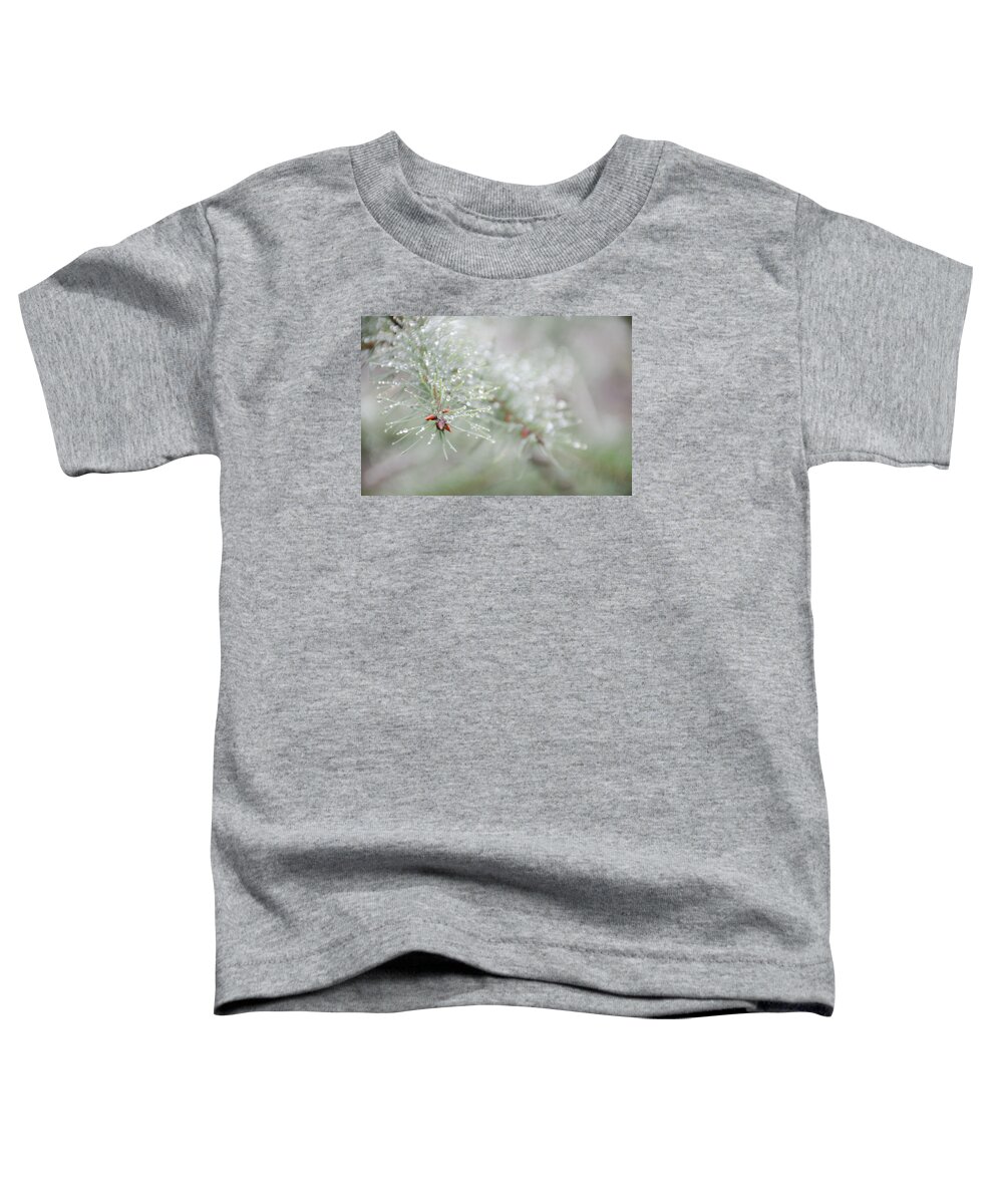 Christmas Toddler T-Shirt featuring the photograph Reminds me of Christmas by Kathy Paynter