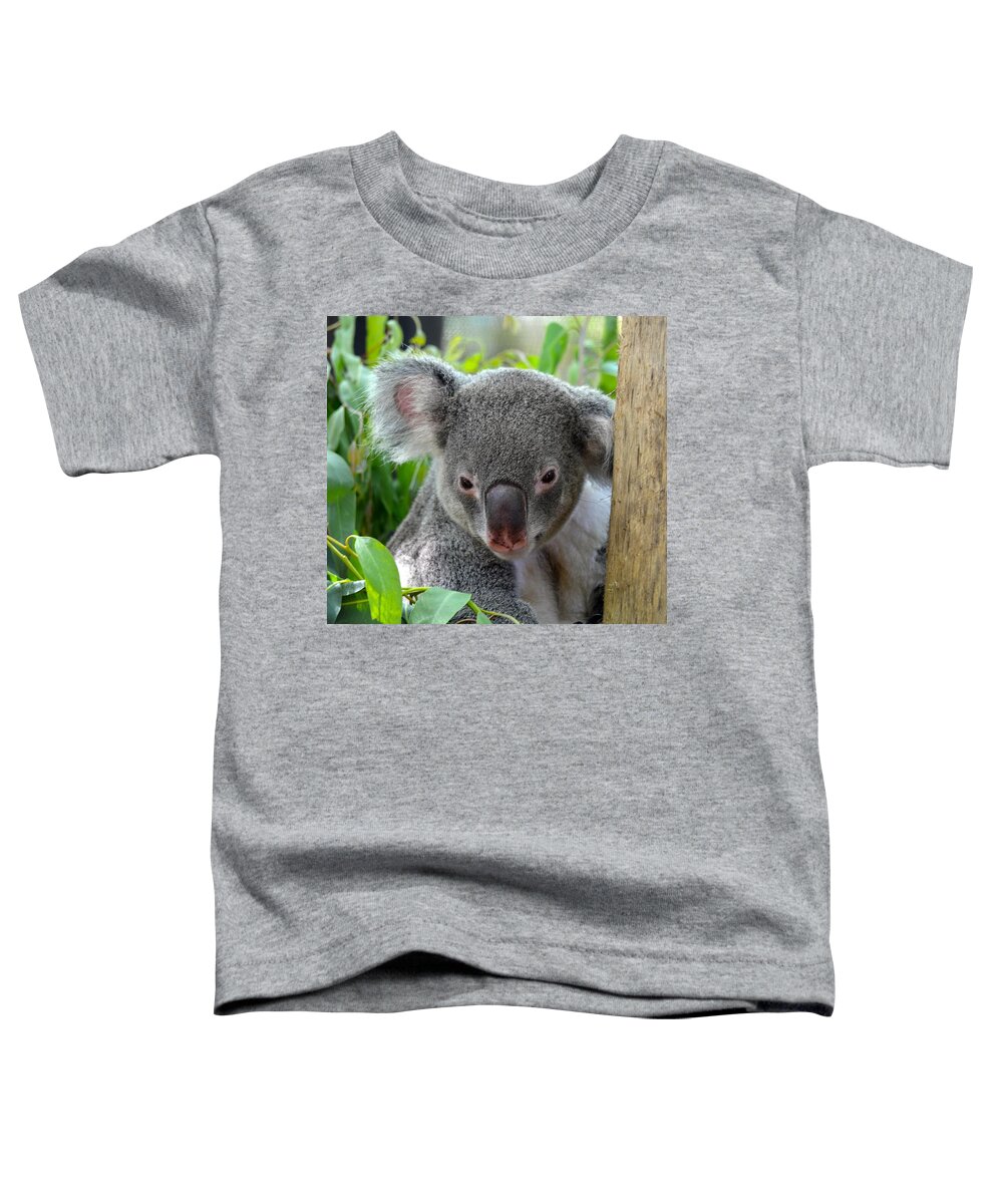 Koala Toddler T-Shirt featuring the photograph Resting Happy Koala by Richard Bryce and Family