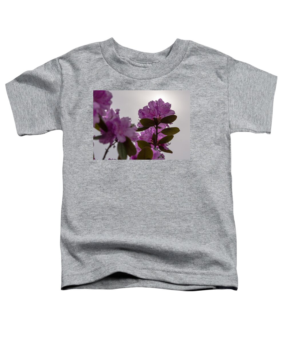 Rhododendron Toddler T-Shirt featuring the photograph Rhododendron Backlit by the Sun by Holden The Moment