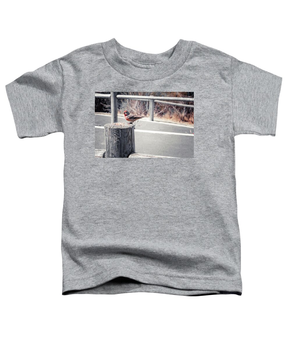 Robin Toddler T-Shirt featuring the photograph Robin Snacking by Alison Frank