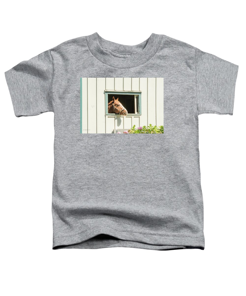 Horse Toddler T-Shirt featuring the photograph Rogers World by Pamela Williams