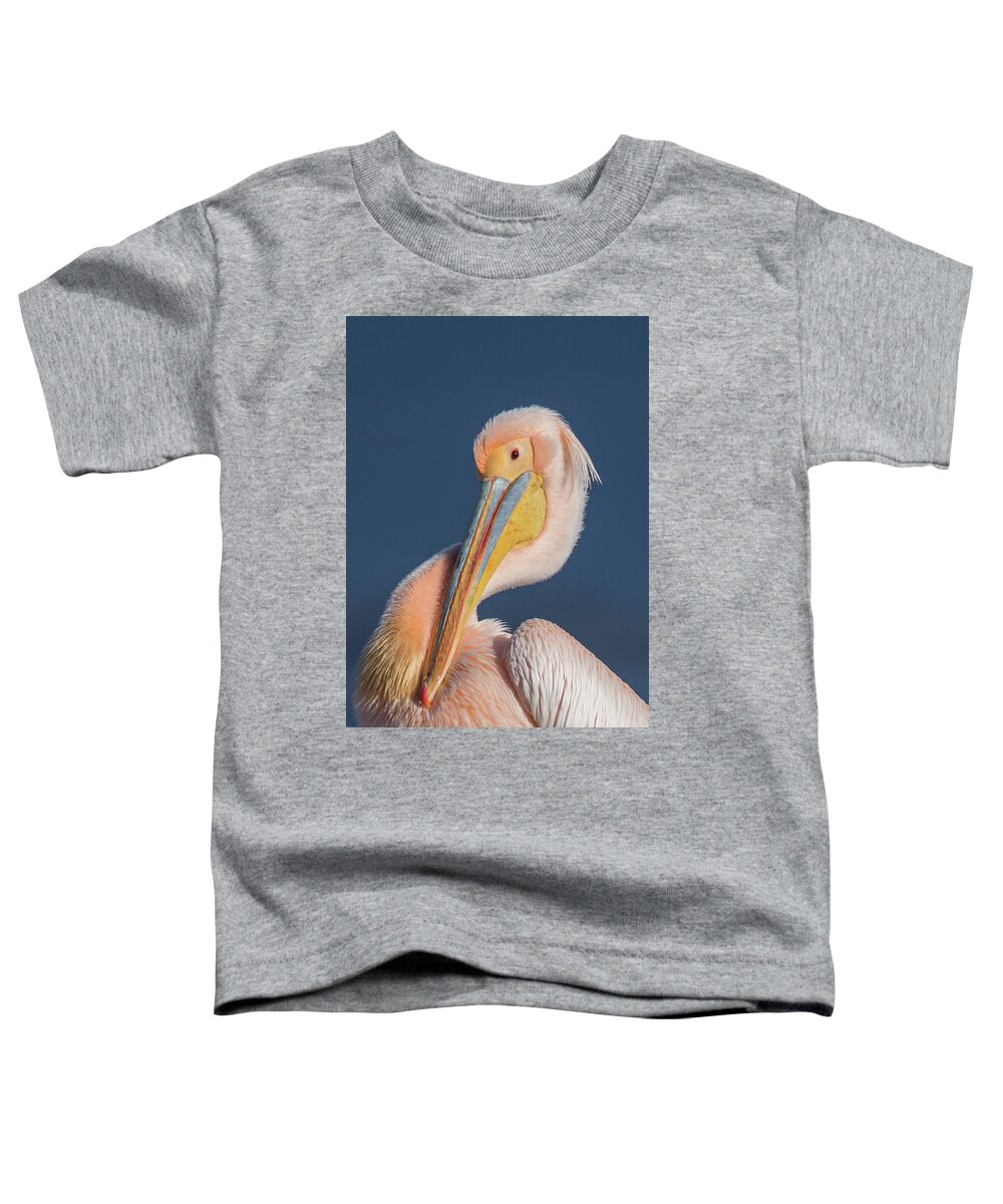 Animal Toddler T-Shirt featuring the photograph Rosy pelican - Pelecanus onocrotalus by Jivko Nakev