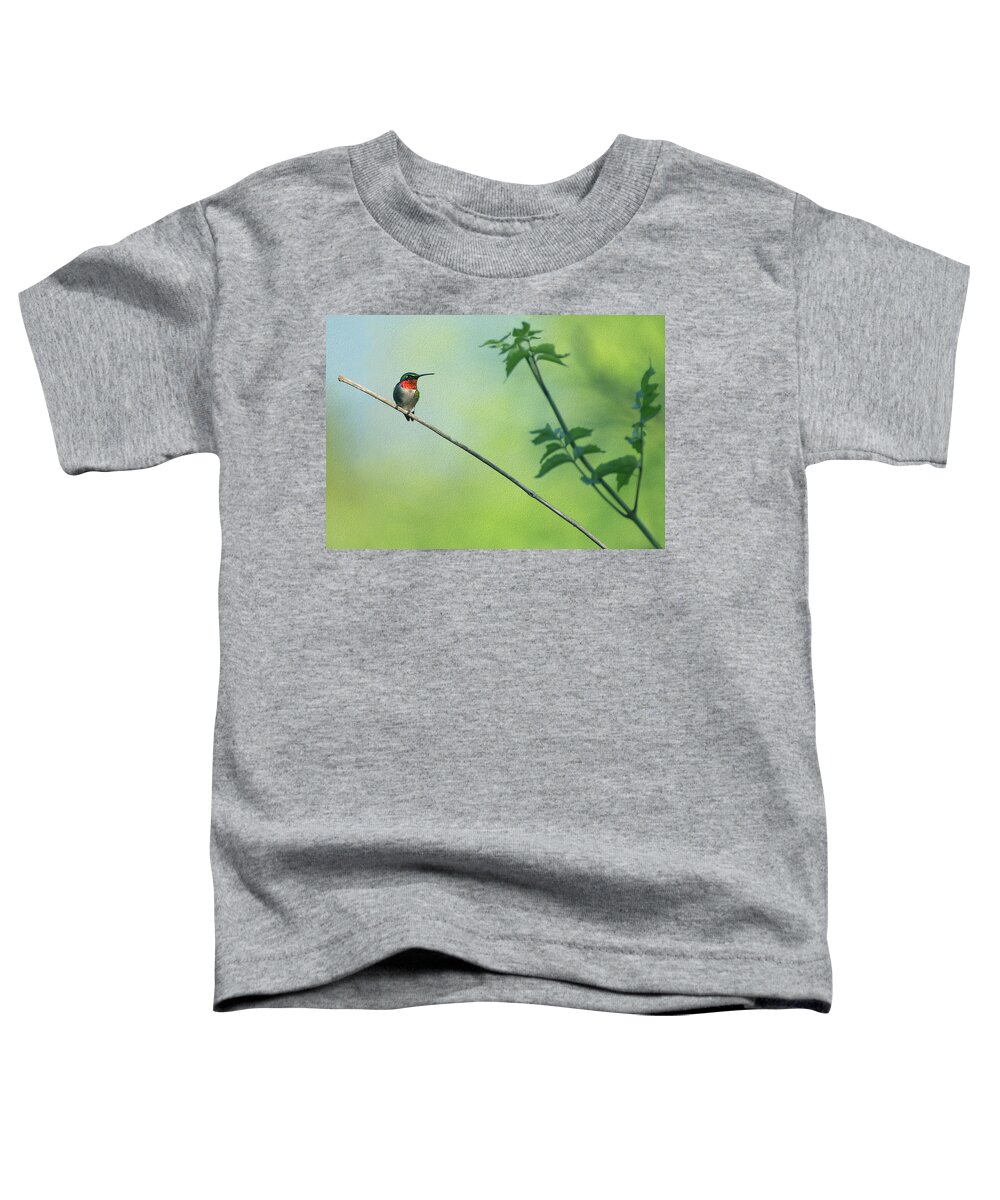 Hummingbird Toddler T-Shirt featuring the photograph Ruby Red Perch by Art Cole
