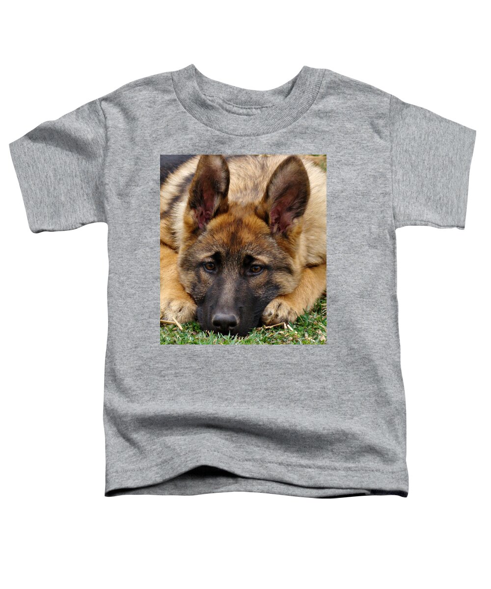 German Shepherd Toddler T-Shirt featuring the photograph Sable German Shepherd Puppy by Sandy Keeton