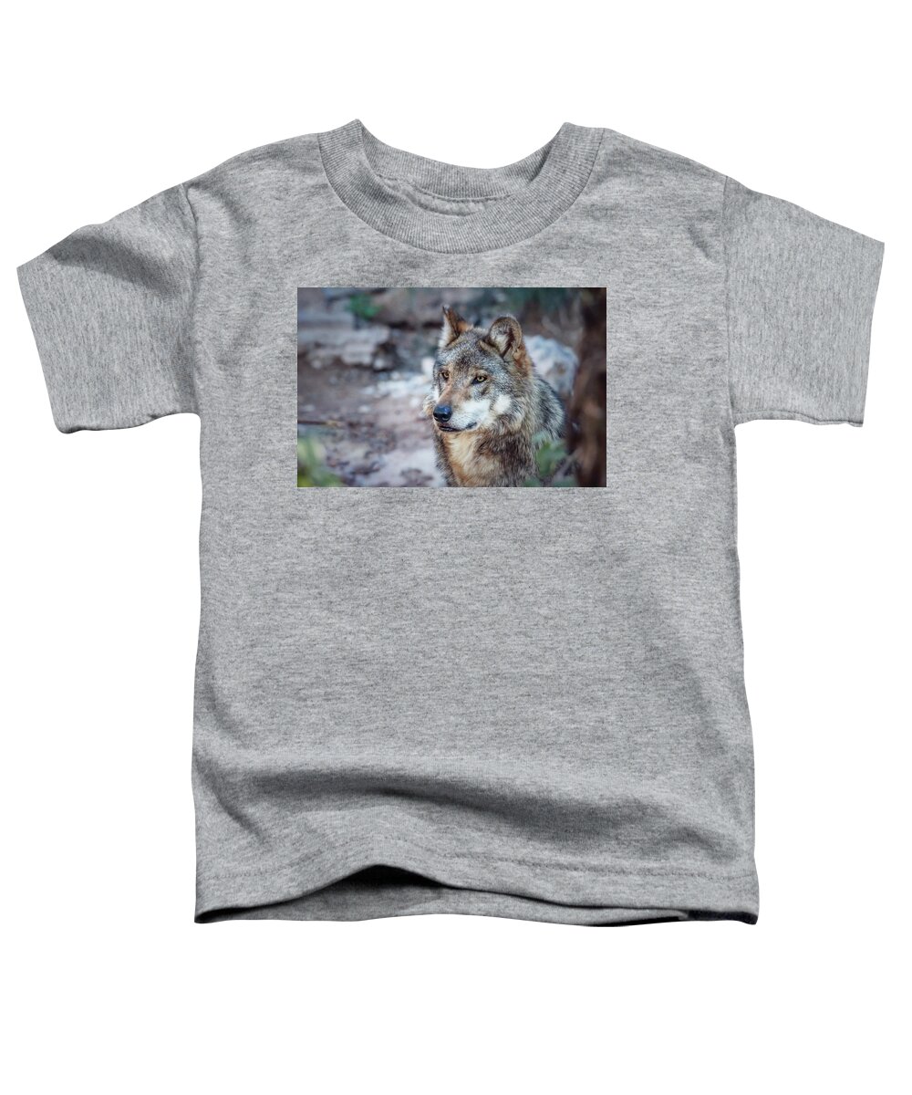 Wolf Toddler T-Shirt featuring the photograph Sancho Searching the Area by Elaine Malott