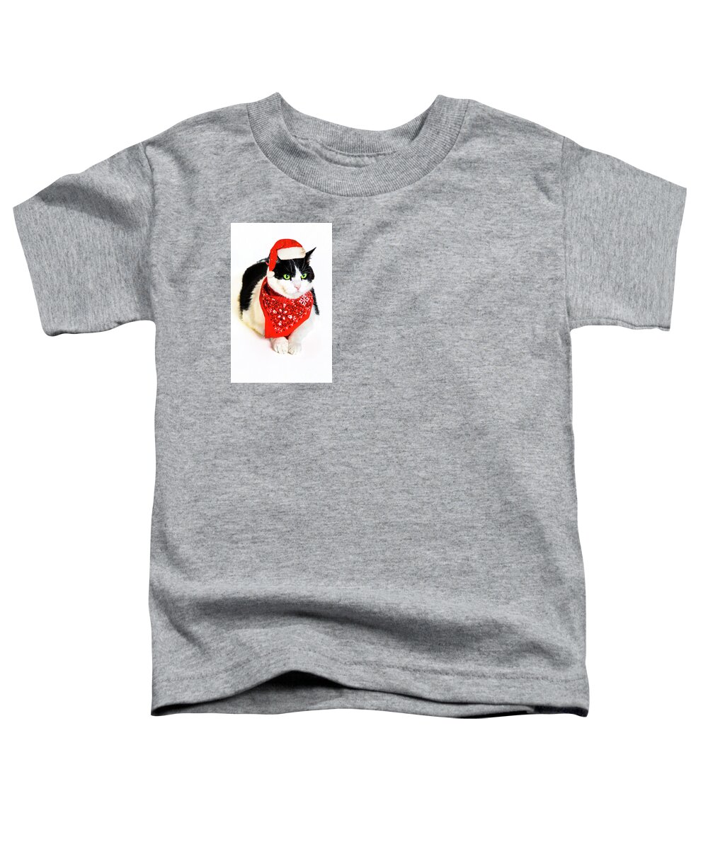 Cat Toddler T-Shirt featuring the photograph Santa Claus Cat by Benny Marty