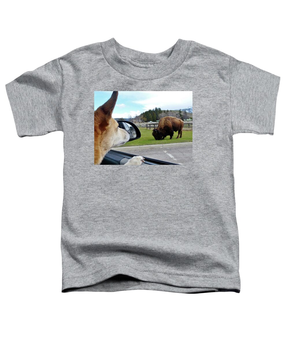 Dog Sees Bison Toddler T-Shirt featuring the photograph Buffalo Gazing by Rosanne Licciardi