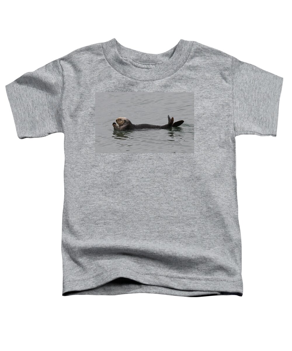 Sea Otter Toddler T-Shirt featuring the photograph Sea Otter - 5 by Christy Pooschke