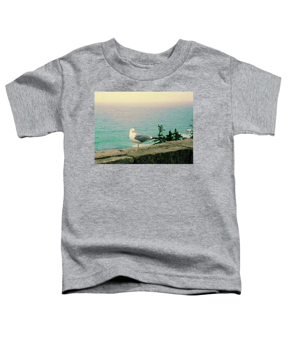 Seagull Toddler T-Shirt featuring the photograph Seagull on Stone Wall by Desiree Paquette