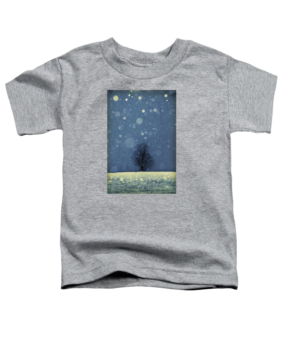 Winter Toddler T-Shirt featuring the photograph Seasons - Winter by Phyllis Meinke