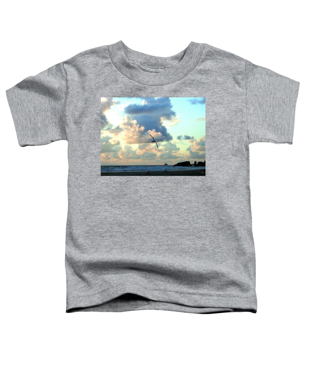 Sunset Toddler T-Shirt featuring the photograph Serene Sunset by Will Borden