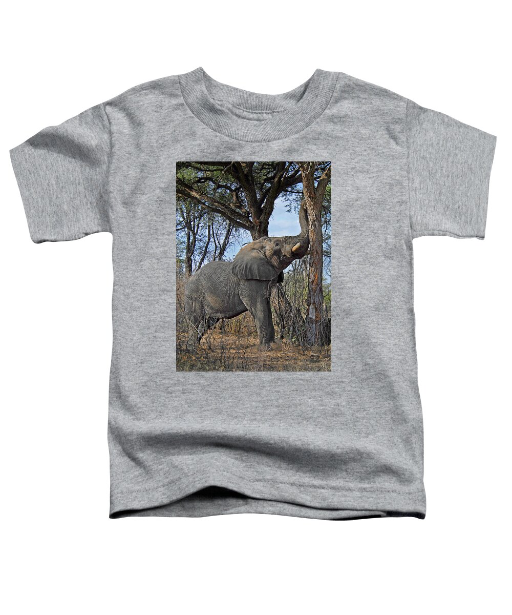 Elephant Toddler T-Shirt featuring the photograph Shake the Trees by Ted Keller